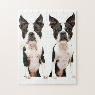 Quebra-cabeça Um Adorável Cão Cartoon de Boston Terrier
