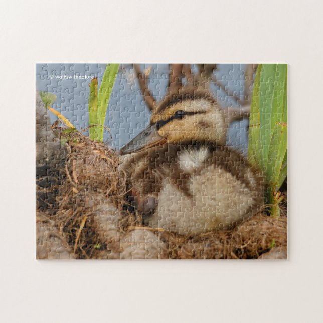 Quebra-cabeça Um Batido de Mallard Bonito e Precoce (Horizontal)