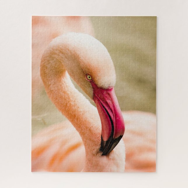 Quebra-cabeça Um Belo Flamingo Rosa (Vertical)