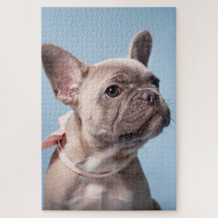 Quebra-cabeça Um Bulldog Francês