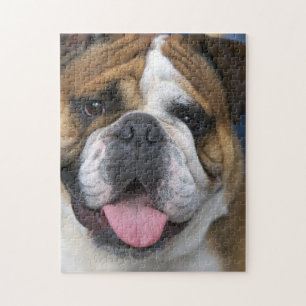 Quebra-cabeça Um bulldog inglês na Bélgica