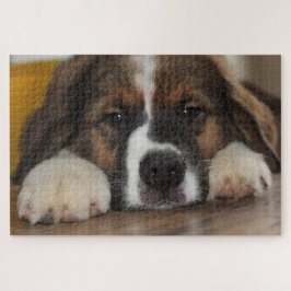 Quebra-cabeça Um Cachorro Encolhido