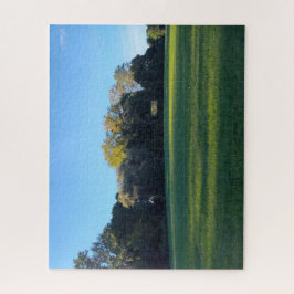 Quebra-cabeça Um Campo de Reflexão