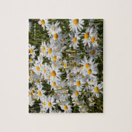 Quebra-cabeça Um Campo de Visitas Oxeye