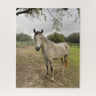 Quebra-cabeça Um cavalo perto de uma pastagem