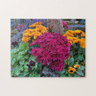 Quebra-cabeça Um Colorido Tumulto de Flores de Crisântemo de Out