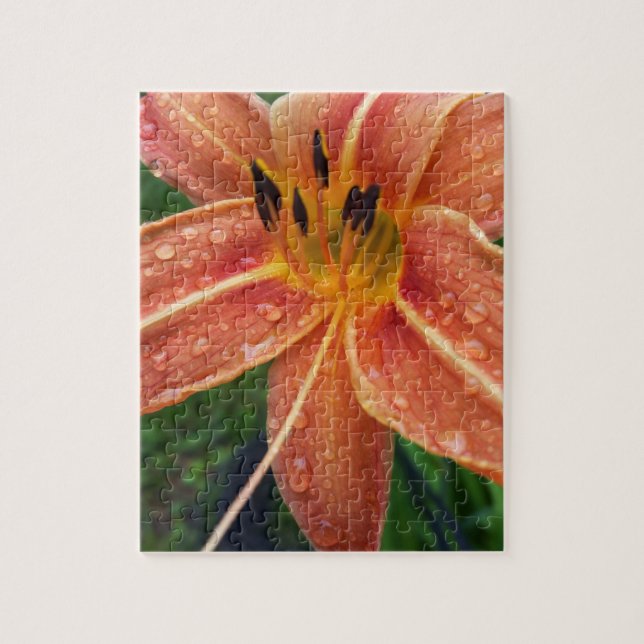 Quebra-cabeça Um dia de lily (Vertical)