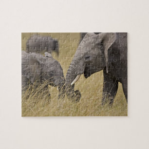 Quebra-cabeça Um elefante africano pastando nos campos