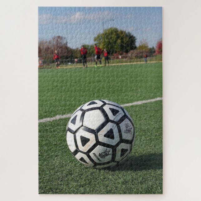 Quebra-cabeça Um excelente jogador ou Futebol-20x30-1014 pcs (Vertical)