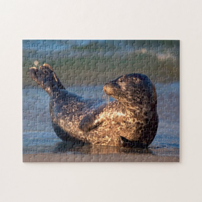 Quebra-cabeça Um filhote de foca levantando a cauda (Horizontal)