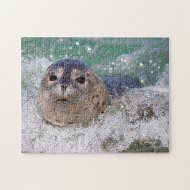 Quebra-cabeça Um filhote de foca surfando (Horizontal)