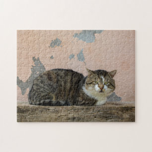 Quebra-cabeça Um gato em frente a uma parede antiga