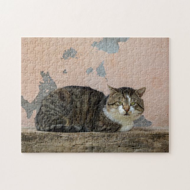 Quebra-cabeça Um gato em frente a uma parede antiga (Horizontal)