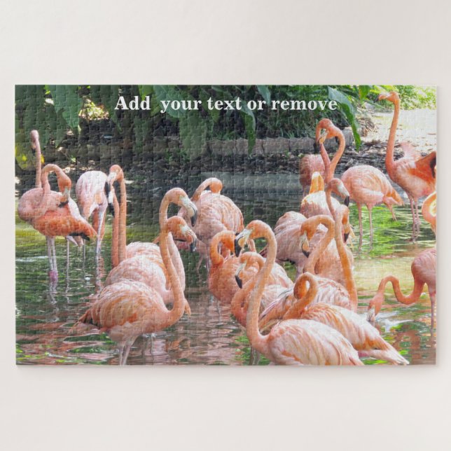 Quebra-cabeça Um grupo colorido de flamingos cor-de-rosa na água (Horizontal)