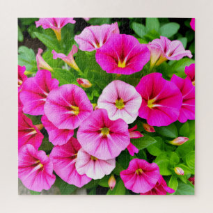 Quebra-cabeça Um grupo espantoso de petúnias cor-de-rosa.