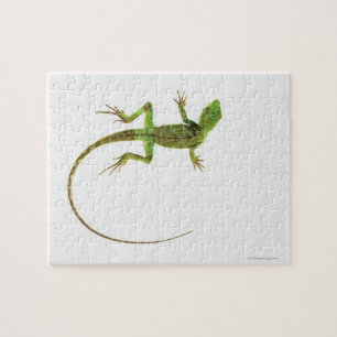 Quebra-cabeça Um lagarto na terra branca pura