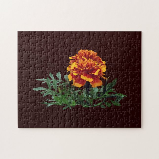 Quebra-cabeça Um Marigold Laranja com Dicas Amarelas (Horizontal)