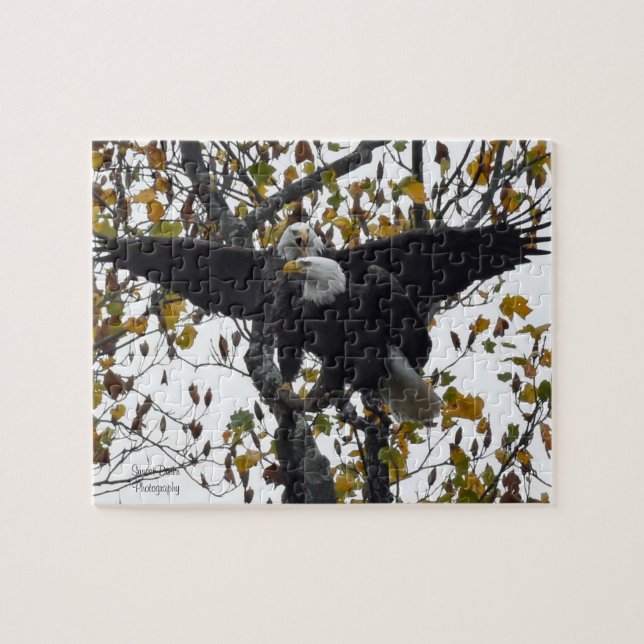 Quebra-cabeça Um par de águias-calvas durante a temporada de out (Horizontal)