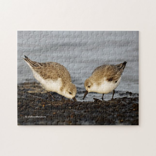 Quebra-cabeça Um Par de Compartilhamentos Sanderlings (Horizontal)