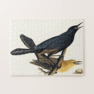 Quebra-cabeça Um par de Grackles Barco-Atado