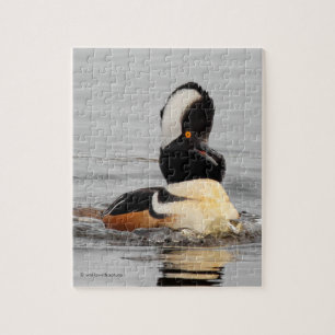 Quebra-cabeça Um Pato Merganser Hooded Surpreso