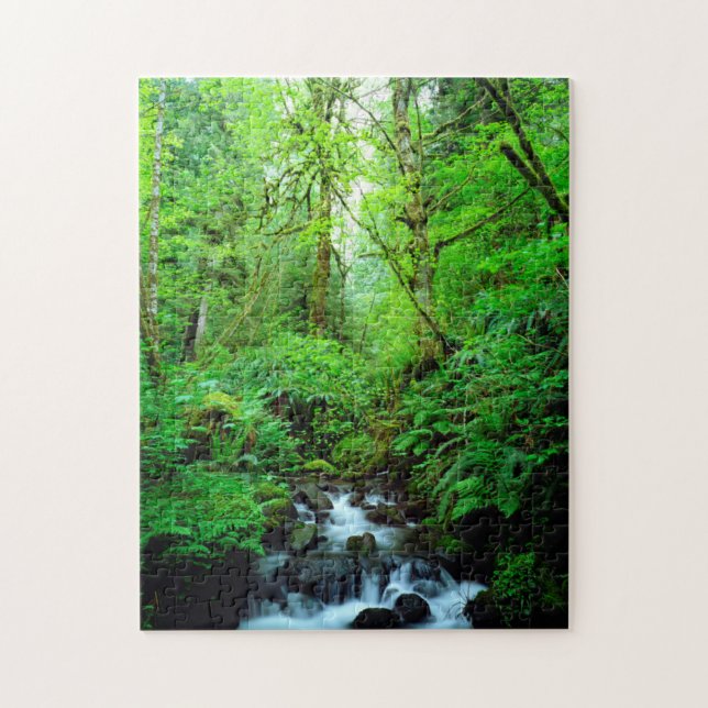Quebra-cabeça Um riacho numa floresta primária (Vertical)