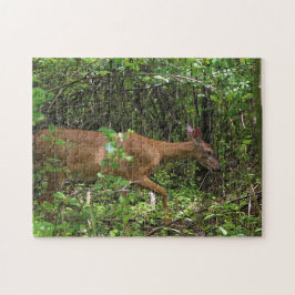 Quebra-cabeça Um Stroll através das madeiras