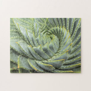 Quebra-cabeça Um Succulent verde & branco