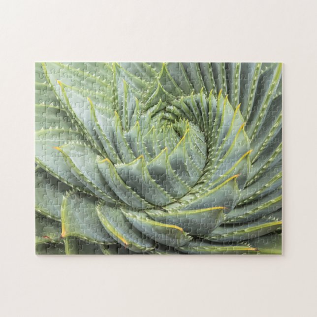 Quebra-cabeça Um Succulent verde & branco (Horizontal)