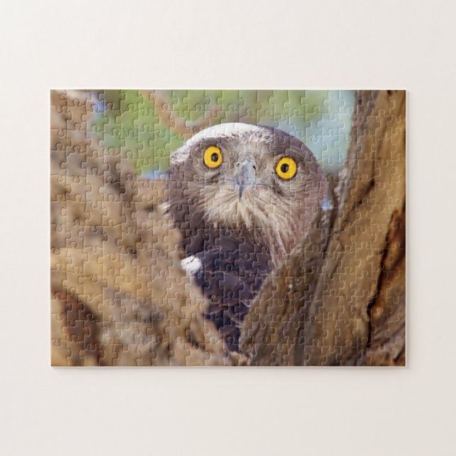 Quebra-cabeça Uma águia-Cobra de peito branco (Horizontal)