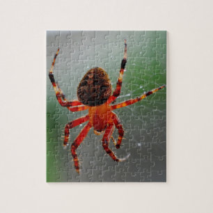 Quebra-cabeça Uma Aranha Fome Esperava