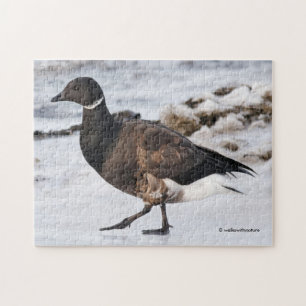 Quebra-cabeça Uma Brant Goosesteppin