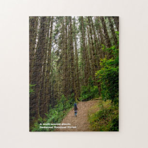 Quebra-cabeça Uma caminhada entre gigantes - Floresta Nacional R