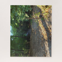 Quebra-cabeça Uma Caminhada Sísica