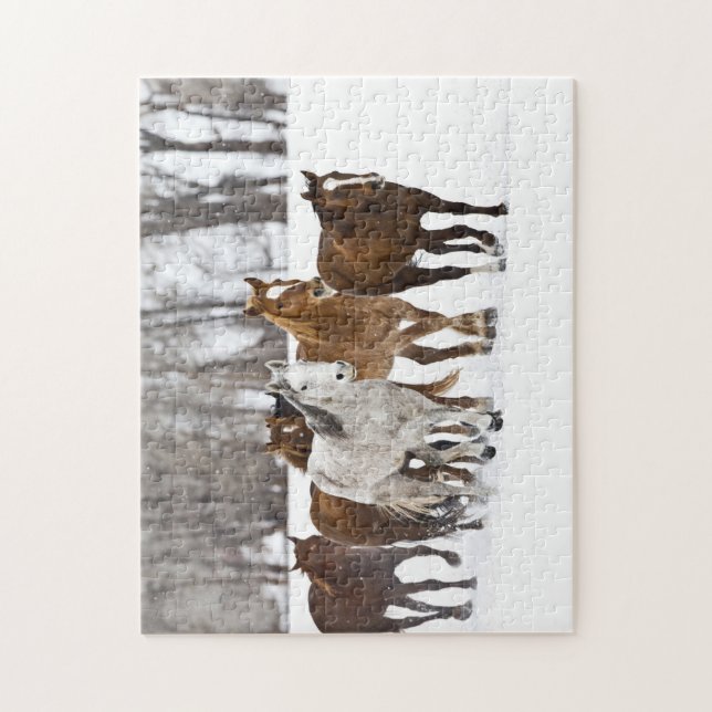 Quebra-cabeça Uma cena de inverno de corrida (Vertical)