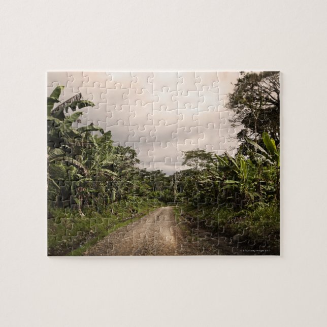 Quebra-cabeça Uma estrada remota da selva (Horizontal)