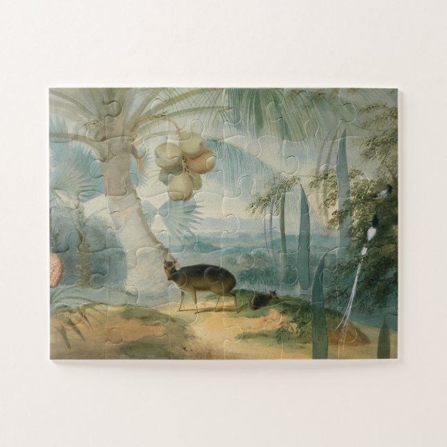 Quebra-cabeça Uma paisagem no Ceilão por Samuel Daniell (Horizontal)