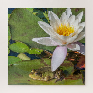 Quebra-cabeça Uma rã sob uma flor de nenúfar