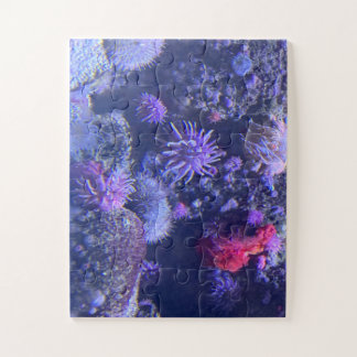 Quebra-cabeça Underwater