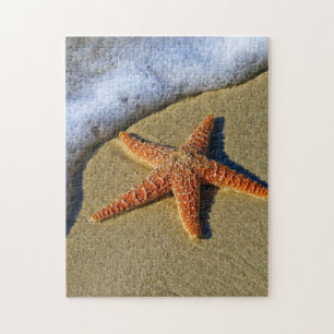 Quebra-cabeça Única estrela do mar na praia
