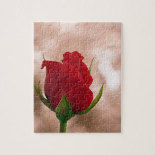 Quebra-cabeça Única rosa vermelha