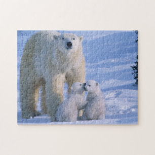 Quebra-cabeça Ursa Polar Feminina em Pé com 2 Cubs
