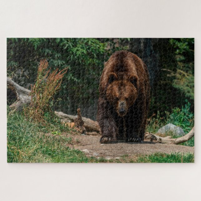 Quebra-cabeça Urso Castanho (Horizontal)