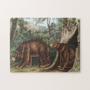 Quebra-cabeça Urso Cinamão (Ursus Americanus var. Canela)