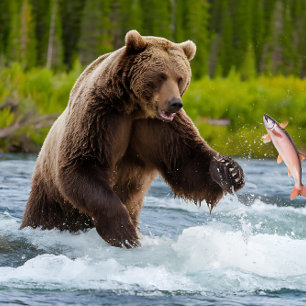 Quebra-cabeça Urso Cinzeiro De Pesca Do Salmão