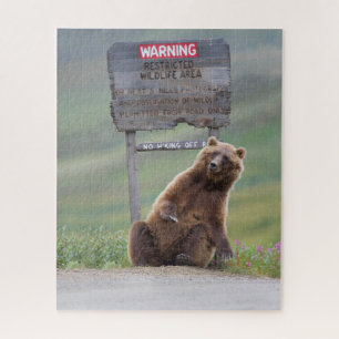 Quebra-cabeça Urso Cinzento Brinca Com Placa