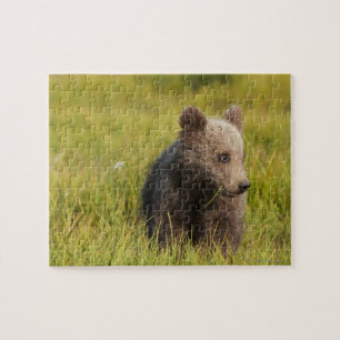 Quebra-cabeça Urso Cub do urso