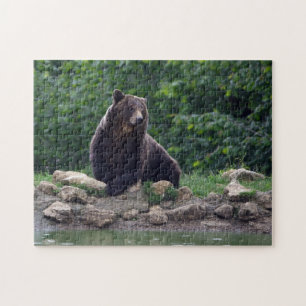 Quebra-cabeça Urso de Brown