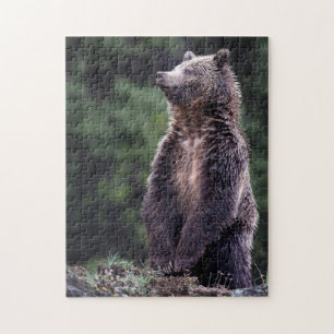 Quebra-cabeça Urso de urso ereto