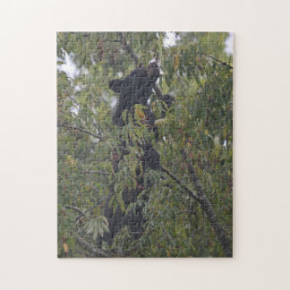 Quebra-cabeça Urso do enfumaçado